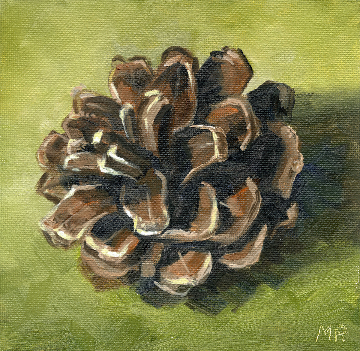 Small Pinecone (County Collector)
